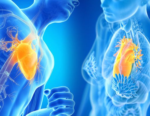 Pria atau Wanita, Siapa Lebih Rentan Terkena Serangan Jantung?