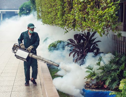 Efektifkah Fogging untuk Membasmi Nyamuk?
