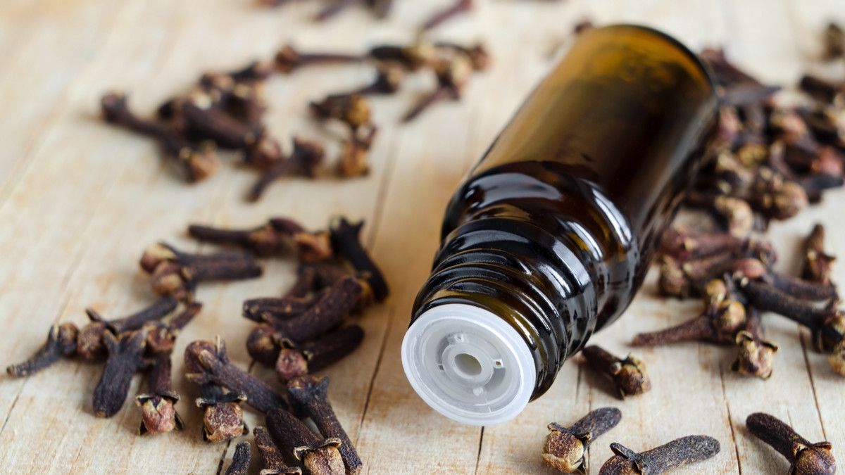 5 Manfaat Cengkeh untuk Ibu Hamil dan Janin