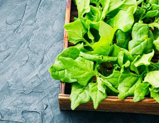 Ragam Dedaunan yang Bisa Mencerahkan Wajah