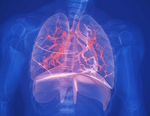 Kabar Baik, Temuan Mirip Sel Punca atau Stem Cell di Paru