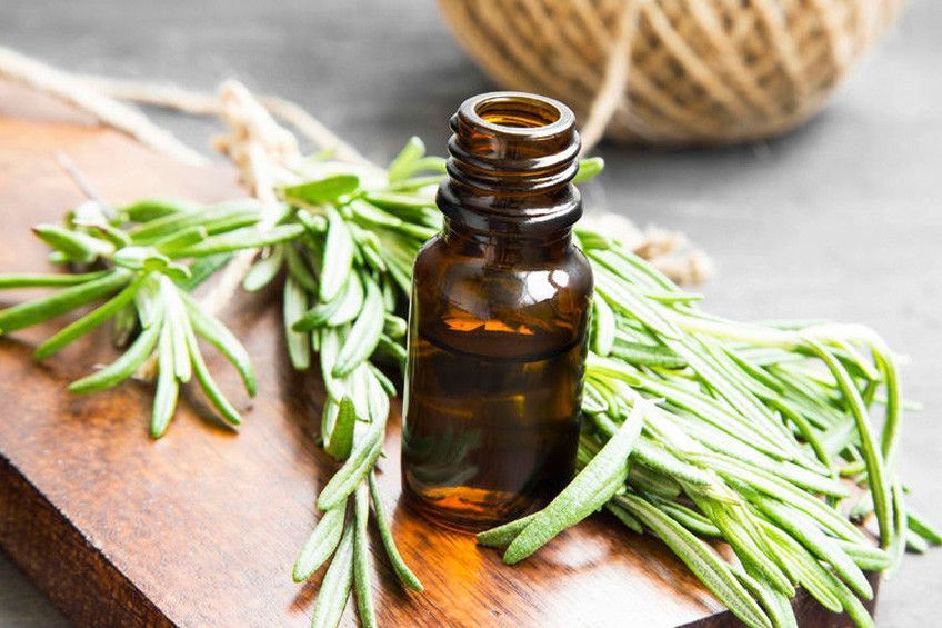 Efektifkah Daun Rosemary untuk Tangani Pegal?