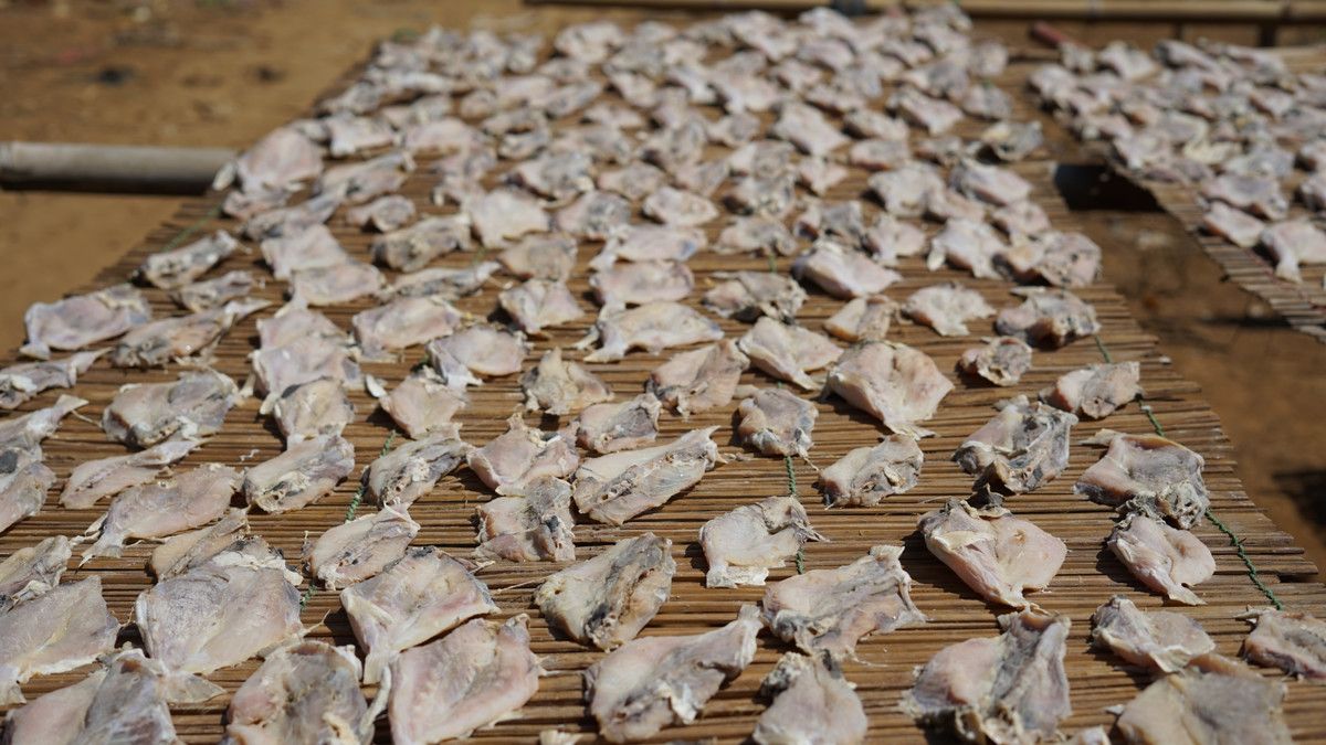 Pro Kontra Manfaat Ikan Asin bagi Kesehatan Tubuh