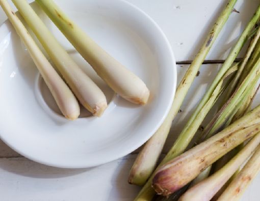 Manfaat Serai untuk Ibu Hamil yang Sayang Dilewatkan