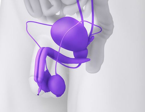 Wahai Pria, Waspadai 4 Masalah Testis Ini !