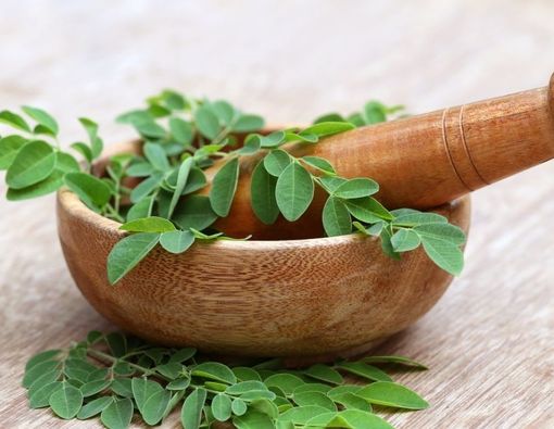 Manfaat Konsumsi Daun Kelor untuk Ibu Hamil