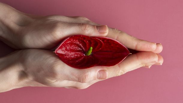 Cara Mengencangkan Otot Miss V Secara Alami dan Aman 