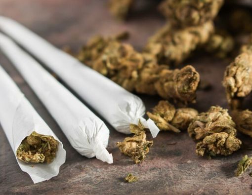 Benarkah Pengguna Ganja Bisa Terkena Skizofrenia?