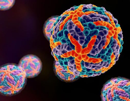 Virus Dengue: Kecil, Unik, dan Berbahaya