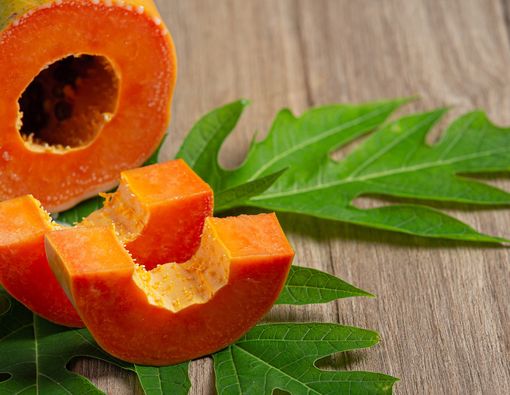 Manfaat Teh Daun Pepaya untuk Kesehatan yang Diketahui Sejauh Ini