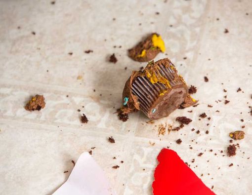 Makanan Jatuh Belum 5 Menit, Amankah Dimakan?