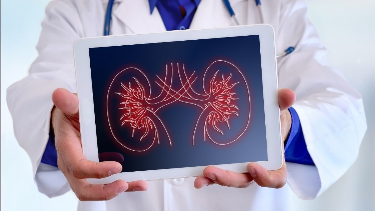 Mengenal Fungsi Ginjal dalam Tubuh Manusia