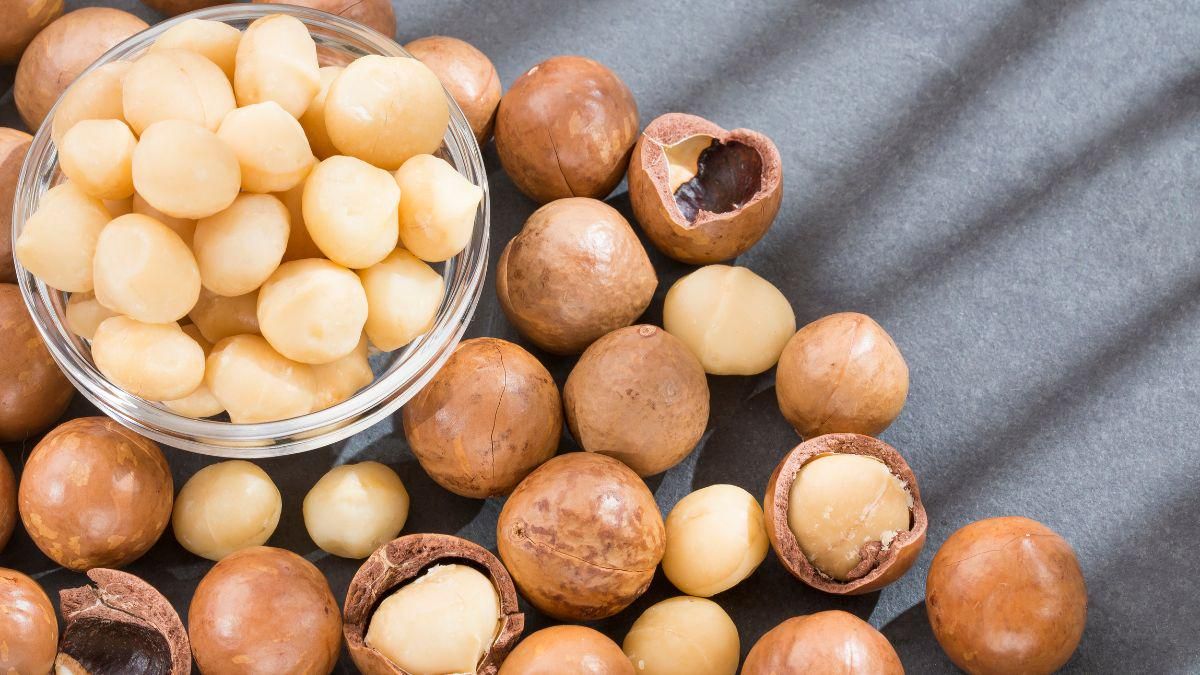 Kacang Macadamia