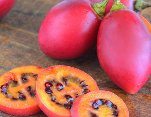 Enak Dikonsumsi, Terong Belanda Ternyata Bisa Bantu Cegah Kanker!