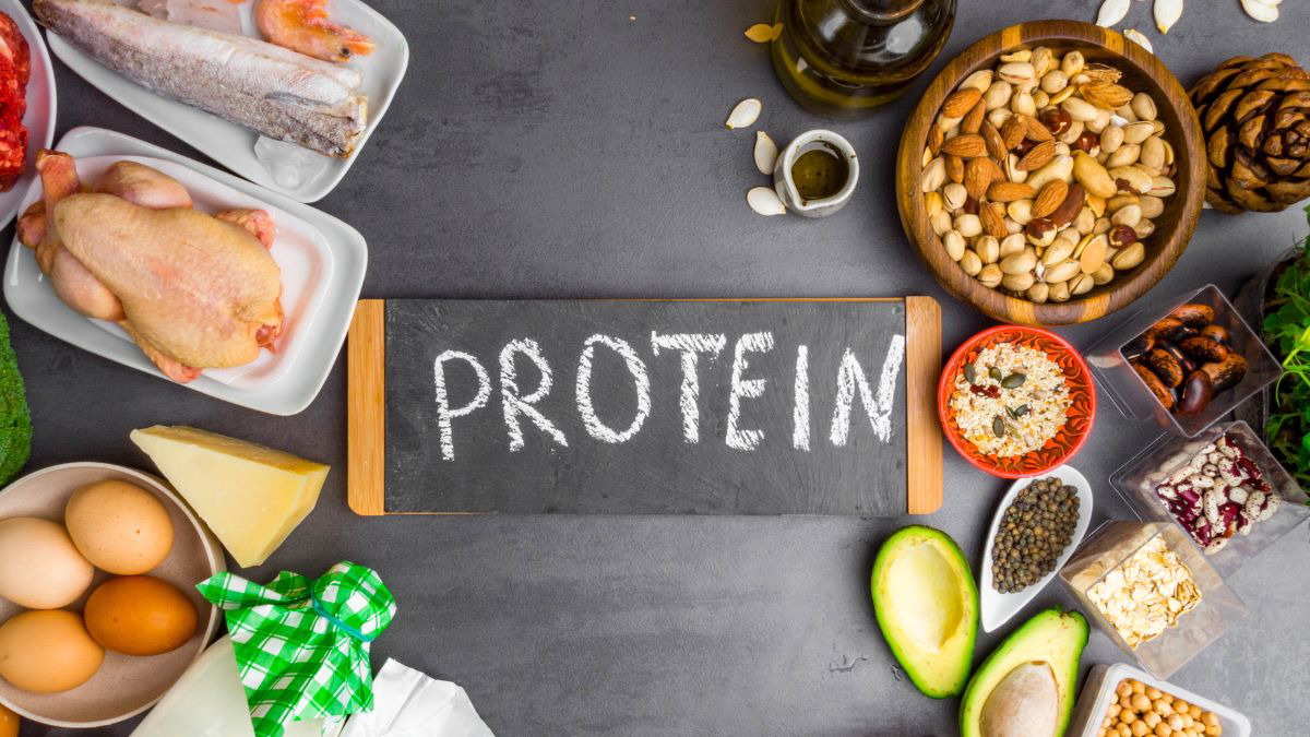 7 Jenis Protein, Fungsi, dan Sumbernya