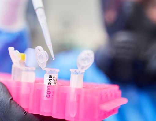 Mengenal Mutasi Virus Corona N439K, Apa Lagi Itu?