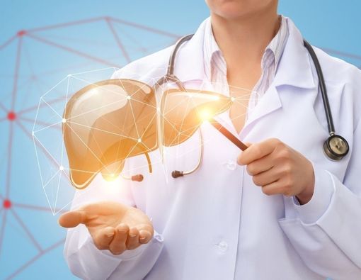 Fungsi Hati Manusia yang Wajib Diketahui