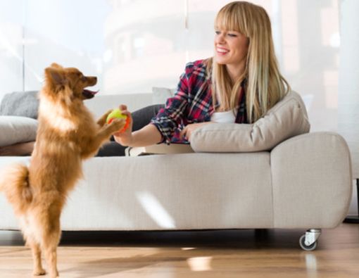 Cara agar Tak Tertular Penyakit Kulit dari Hewan Peliharaan