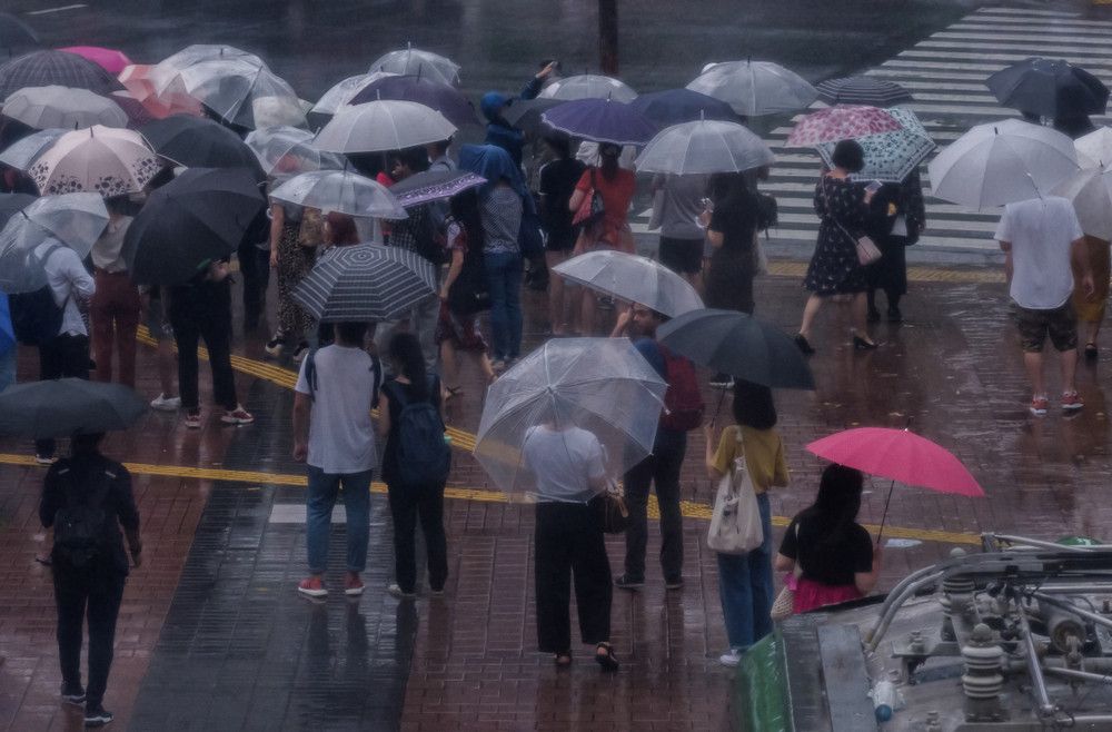 Musim Hujan Datang, Awas Serangan Leptospirosis!