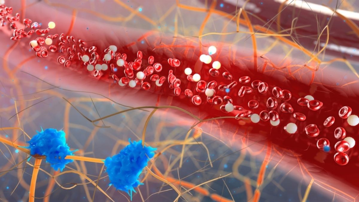Apakah Terapi Totok Darah Bisa Menyembuhkan Diabetes?