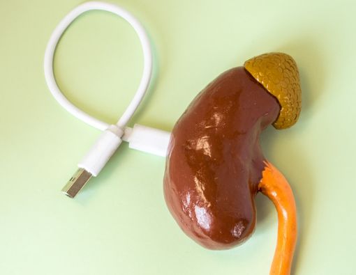 Ginjal Bionik, Ginjal Buatan Pengganti Cuci Darah