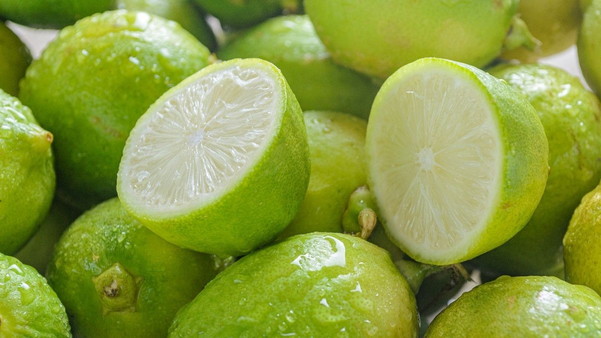 Ampuhkah Jeruk Nipis Mengatasi Panu?