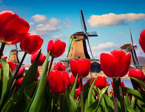 Negara yang Penduduknya Kurang Rajin Mencuci Tangan