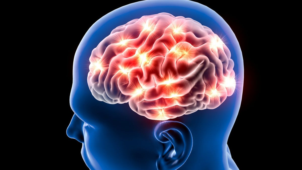 Asah Fungsi Memori Otak dengan Melakukan Ini (Naeblys/Shutterstock)