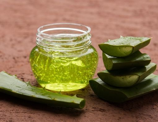 Cara Tepat Menyajikan Lidah Buaya untuk MPASI Bayi