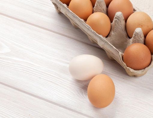 Kebanyakan Makan Telur Sebabkan Bisul, Mitos atau Fakta?