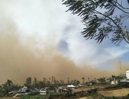 Angin Kencang Campur Debu, Bagaimana Dampaknya pada Kesehatan?