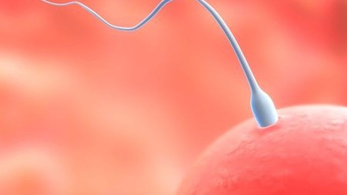 Qozogiston porno videolari: onlayn swingerlar