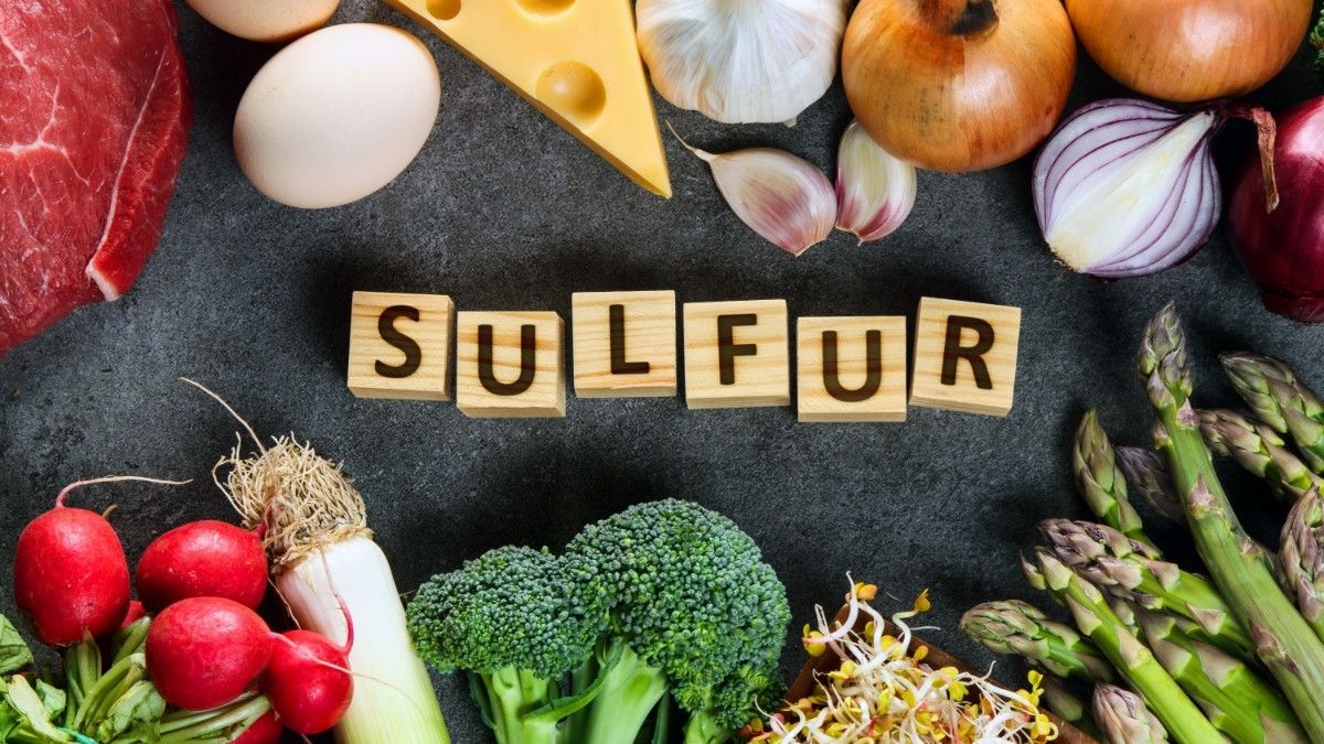 buah yang mengandung glutathione Cara Meningkatkan Kadar Untuk Kesehatan Prima Ingin menjaga kesehatan sekaligus merawat