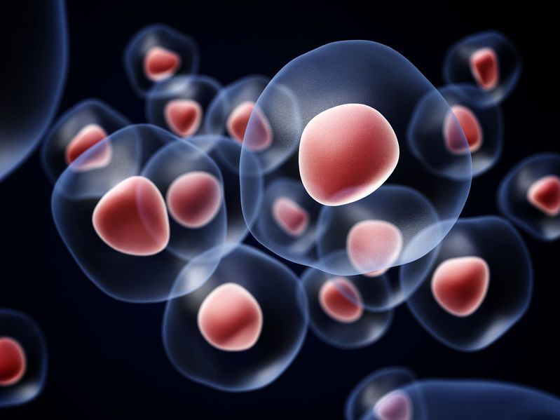 Yuk, Mengenal Stem Cell, Harapan Baru di Dunia Kesehatan