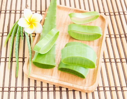 Lidah Buaya Dapat Melebatkan Rambut, Mitos atau Fakta?