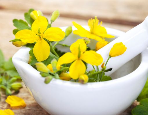 Hati-Hati, Deretan Obat Herbal Ini Bisa Picu Penyakit Hati