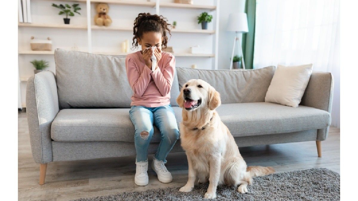 Waspada, Batuk Kennel pada Anjing Dapat Menular ke Manusia