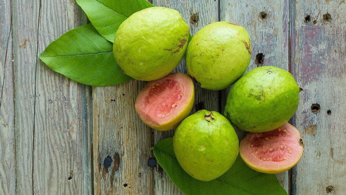 Manfaat Jambu Biji untuk Pasien Kanker