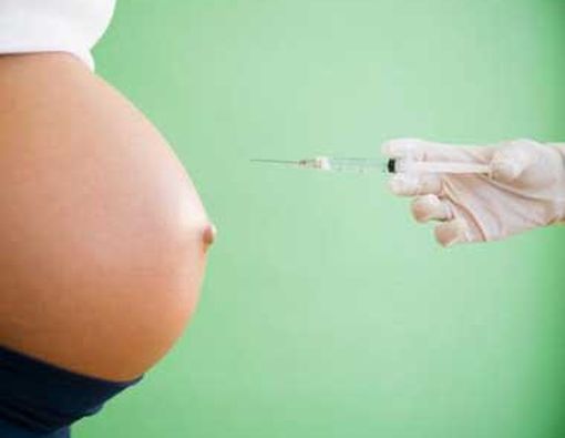 Flu Babi Sebabkan 39 Bayi Sekarat