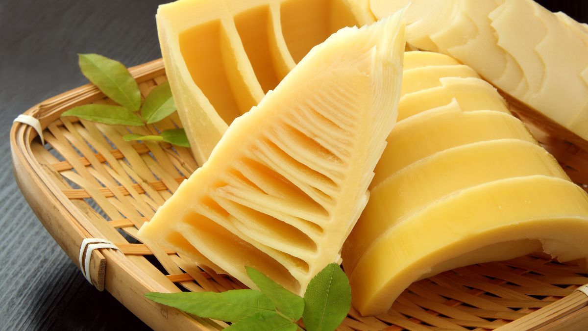 15 Manfaat Rebung untuk Kesehatan