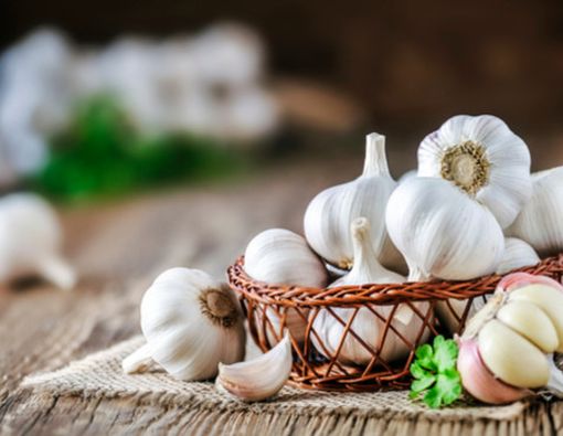 Konsumsi Bawang Putih Bisa Redakan Radang Tenggorokan?