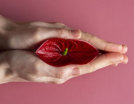 Cara Mengencangkan Otot Miss V Secara Alami dan Aman 