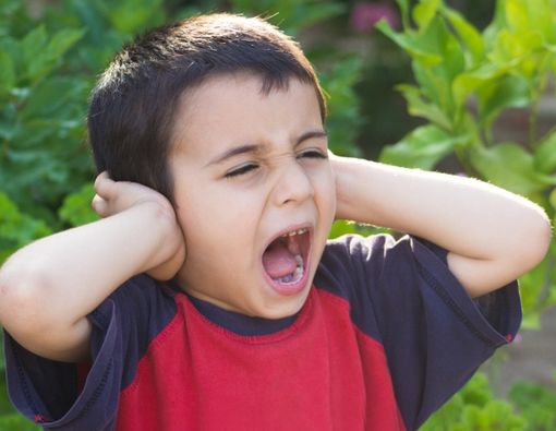 Kondisi Ini Berhubungan Erat Dengan Gangguan Kelebihan Sensoris