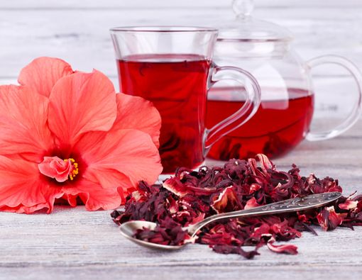 Manfaat Teh Bunga Sepatu untuk Turunkan Hipertensi