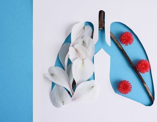 Mengenal Lebih Jauh Prosedur Transplantasi Paru-paru