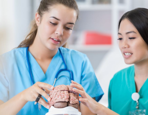 Mengenal Cairan Serebrospinal dan Fungsinya bagi Otak 