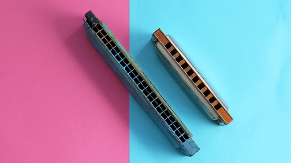 Bermain Harmonika Bisa Tingkatkan Kesehatan Paru, Benarkah?