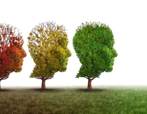 4 Tanda Penuaan Otak yang Perlu Anda Ketahui