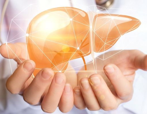 Herbal untuk Meningkatkan Kesehatan Liver Anda