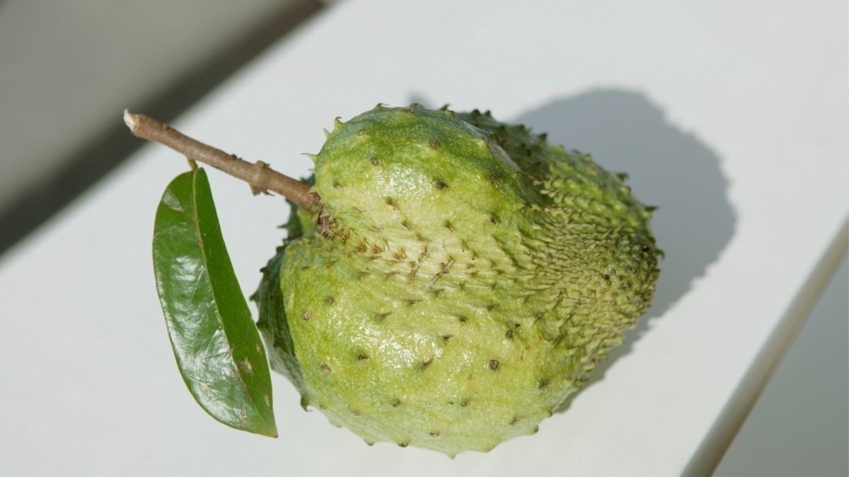 Benarkah Buah Sirsak Efektif untuk Mengatasi Flu?